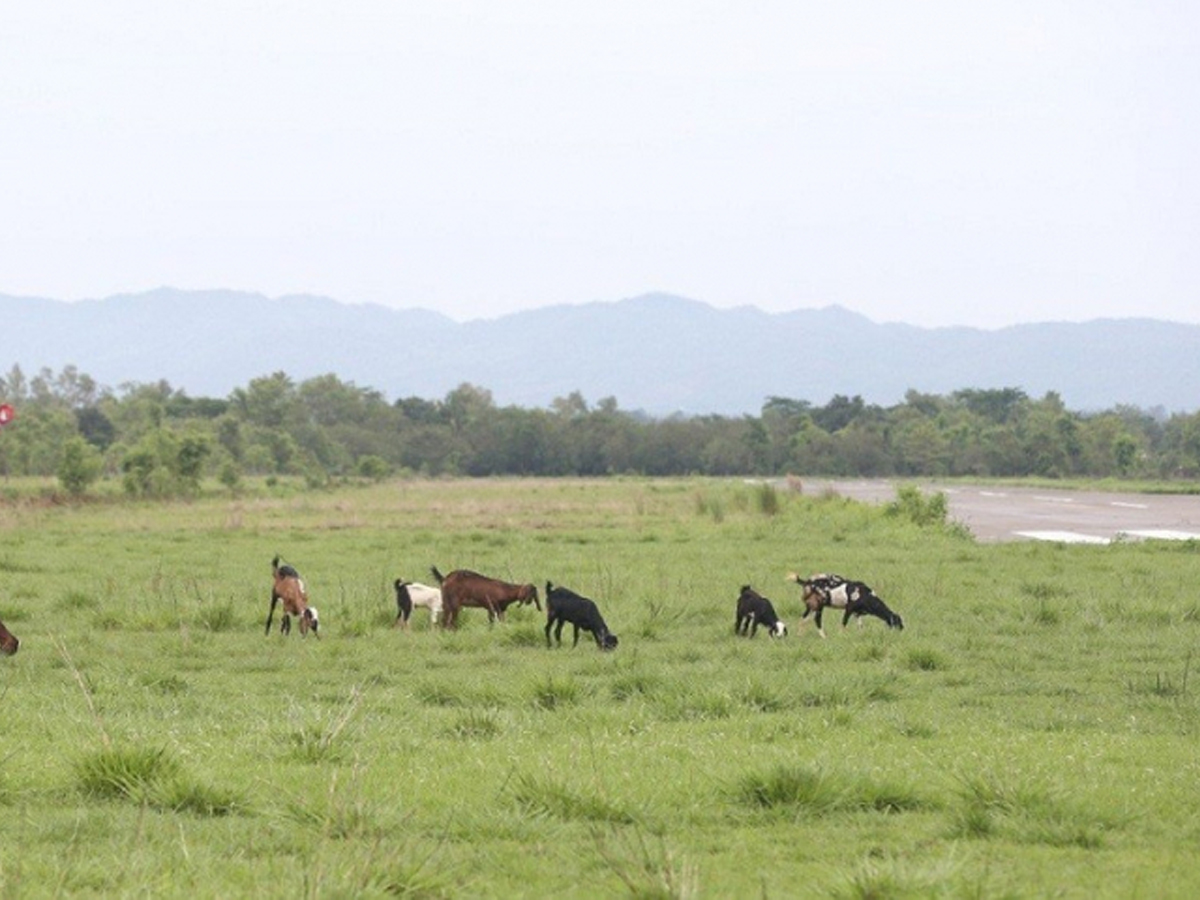 कैलालीको टीकापुर विमानस्थललाई स्तरोन्नती गरिने 